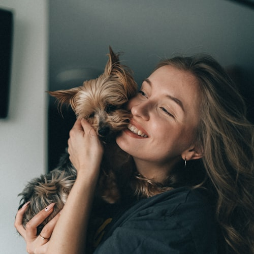 Yorkie Puppy Playpen
