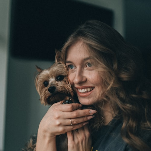 Yorkshire Terrier Training Collar